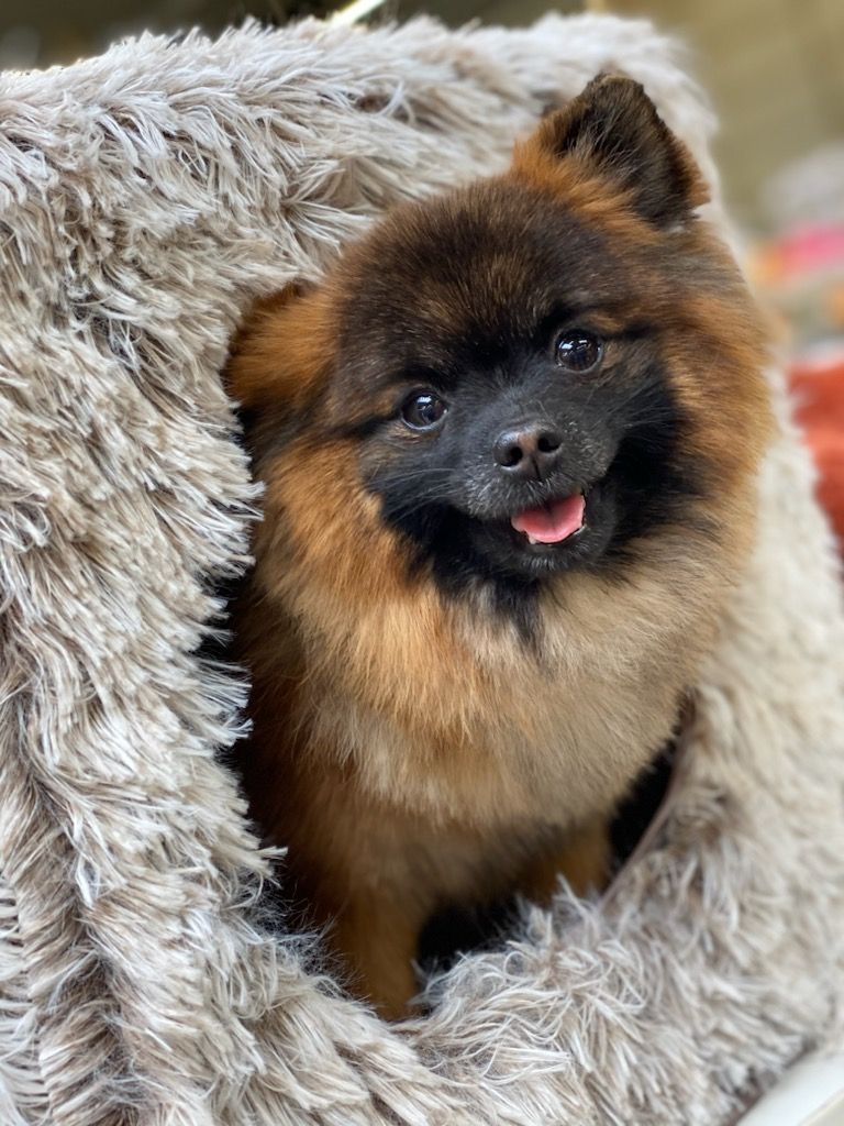 Des Sources De La Liane Perle